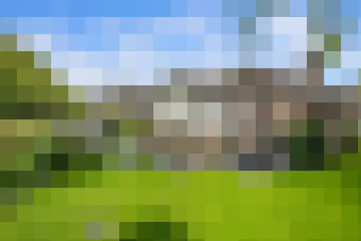 Pieter de Hooghlaan 30 Oud-Beijerland thumbnail 36