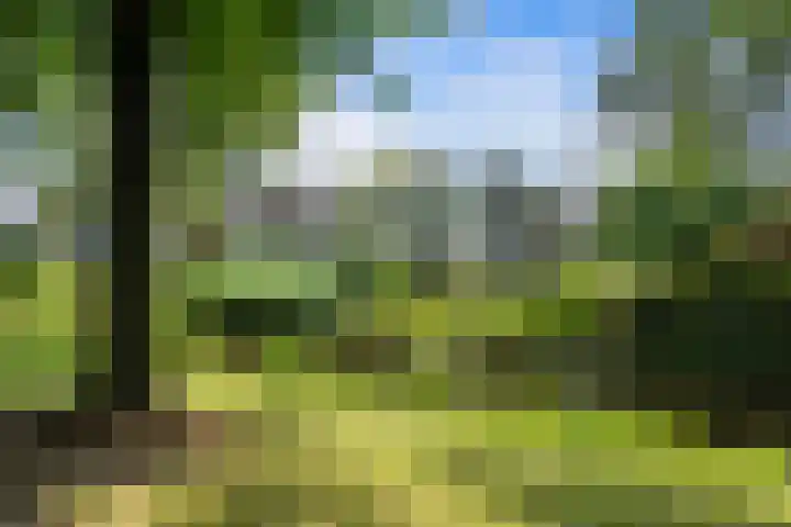 Pieter de Hooghlaan 30 Oud-Beijerland thumbnail 37