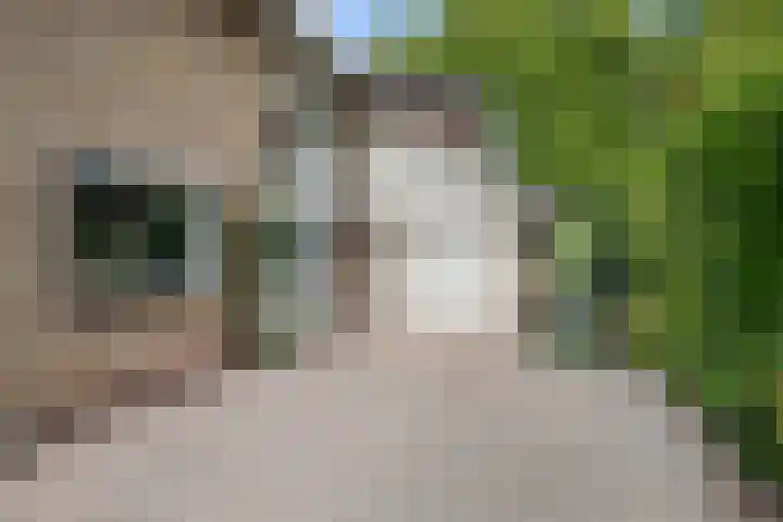 Pieter de Hooghlaan 30 Oud-Beijerland thumbnail 38