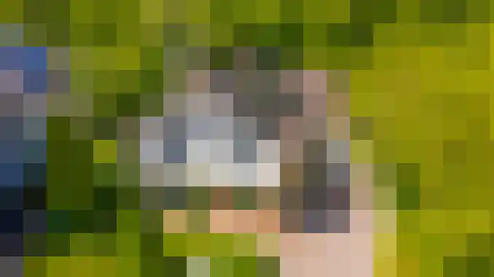 Pieter de Hooghlaan 30 Oud-Beijerland thumbnail 4