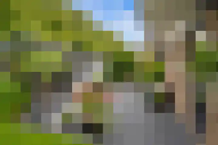 Pieter de Hooghlaan 30 Oud-Beijerland thumbnail 43