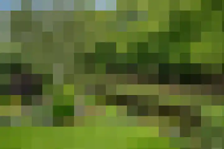 Pieter de Hooghlaan 30 Oud-Beijerland thumbnail 48