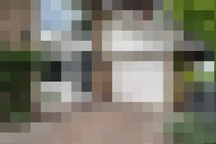 Pieter de Hooghlaan 30 Oud-Beijerland thumbnail 5