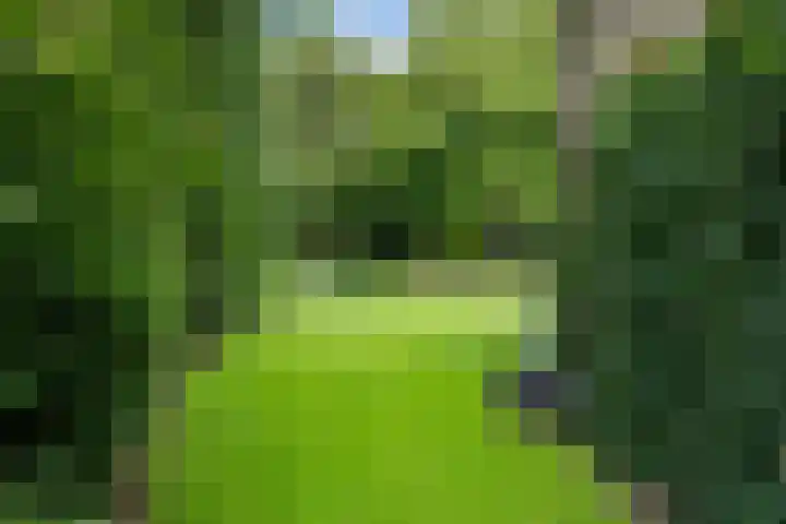 Pieter de Hooghlaan 30 Oud-Beijerland thumbnail 53