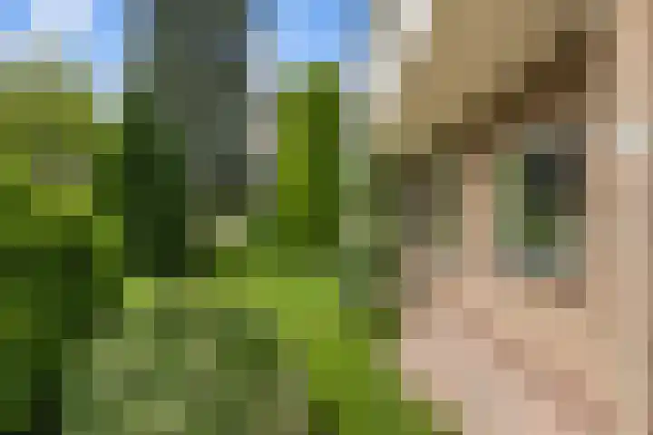 Pieter de Hooghlaan 30 Oud-Beijerland thumbnail 58