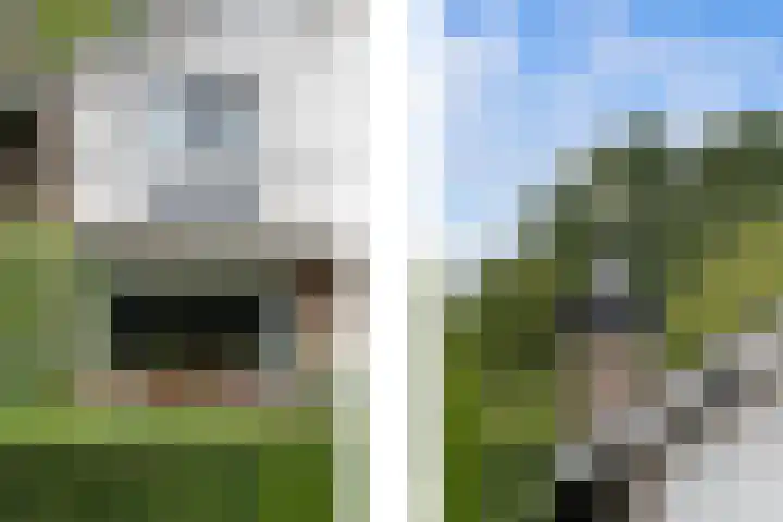 Pieter de Hooghlaan 30 Oud-Beijerland thumbnail 61