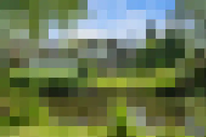 Pieter de Hooghlaan 30 Oud-Beijerland thumbnail 63