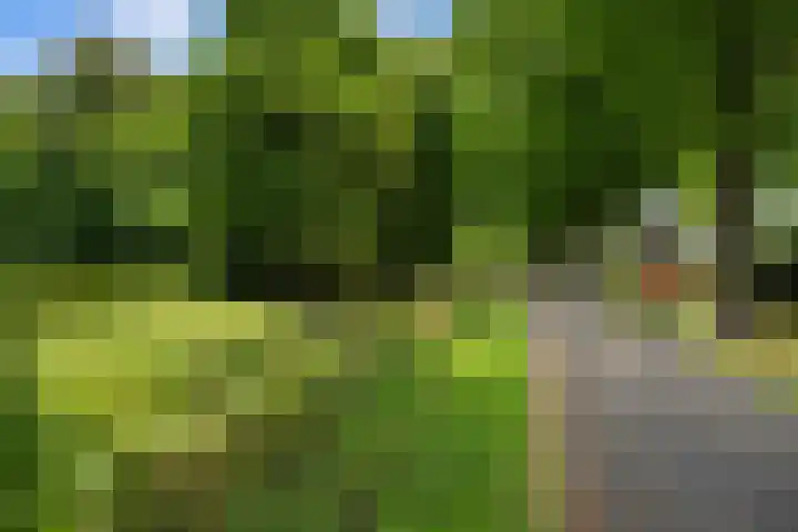 Pieter de Hooghlaan 30 Oud-Beijerland thumbnail 66