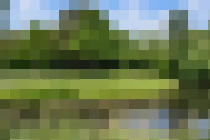 Pieter de Hooghlaan 30 Oud-Beijerland thumbnail 68