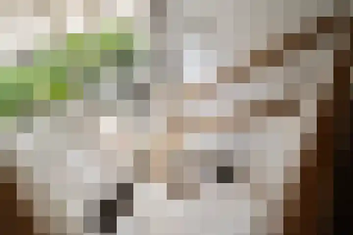 Pieter de Hooghlaan 30 Oud-Beijerland thumbnail 7