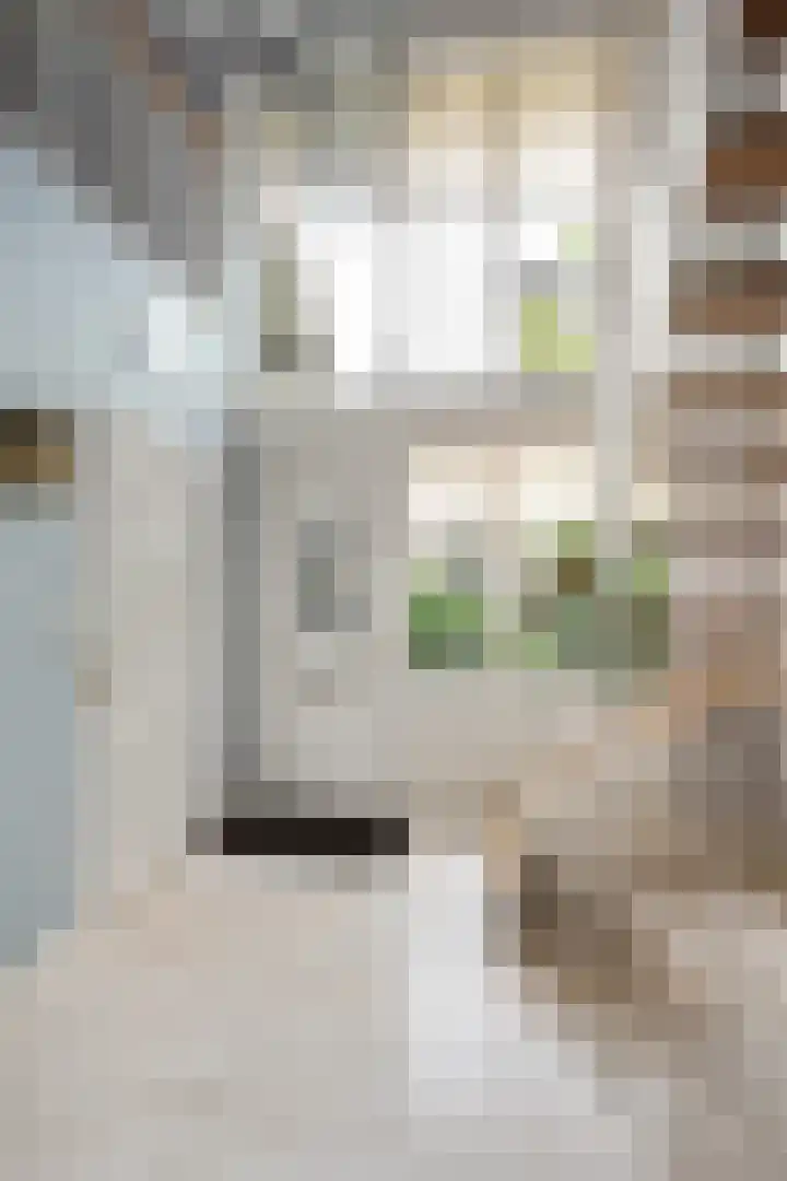 Pieter de Hooghlaan 30 Oud-Beijerland thumbnail 8