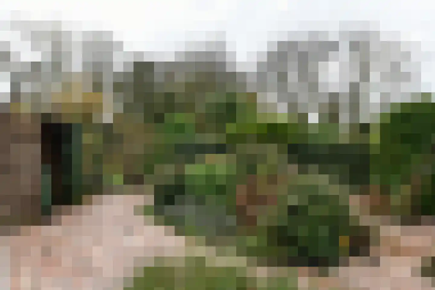 Pieter de Hooghlaan 32 Nederhorst den Berg thumbnail 14