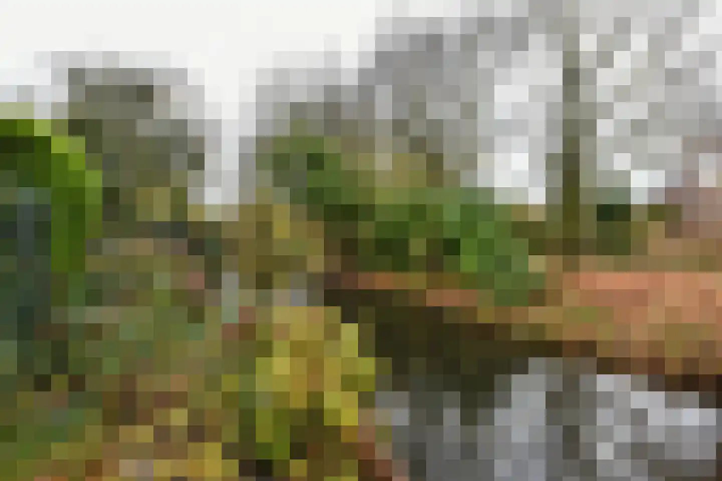 Pieter de Hooghlaan 32 Nederhorst den Berg thumbnail 16
