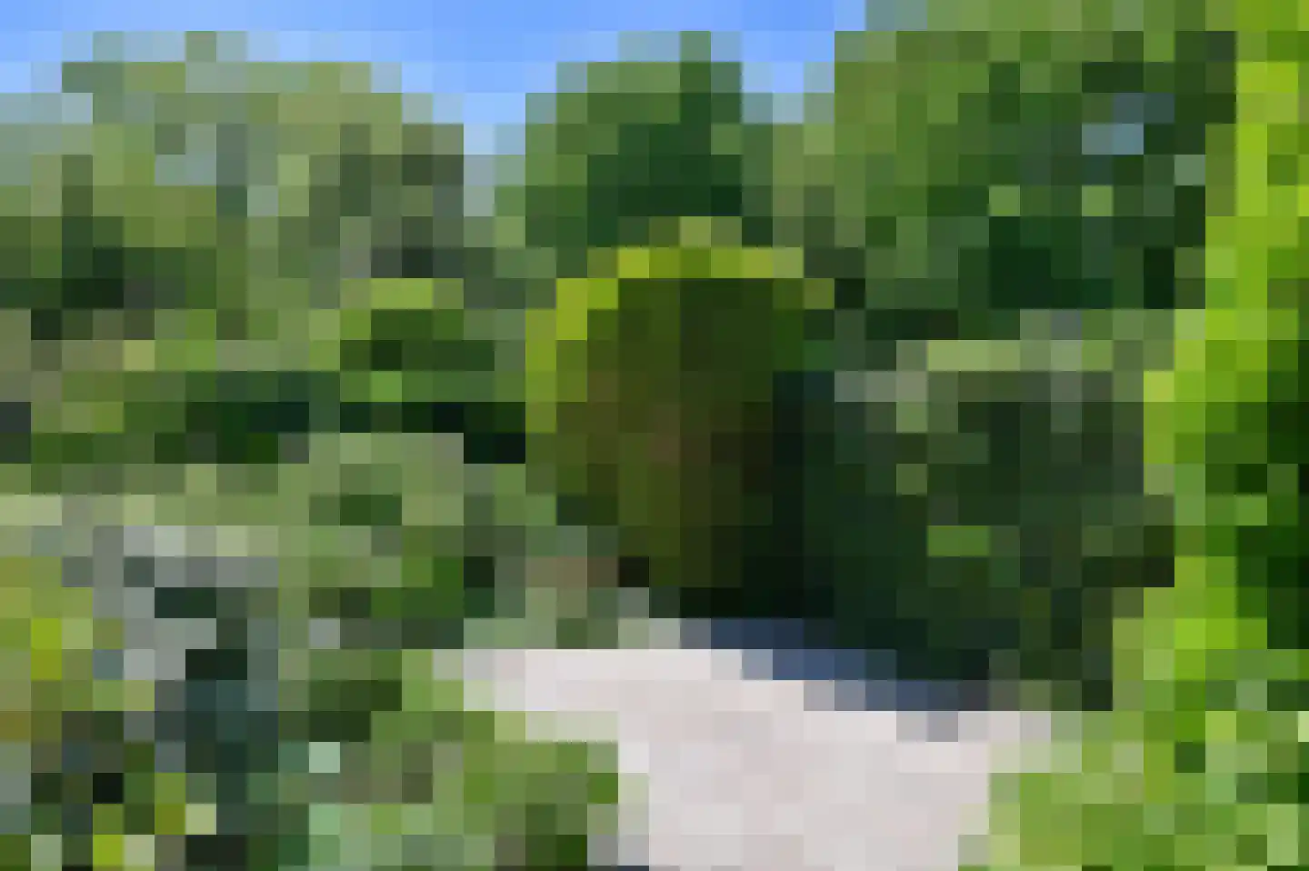 Pieter de Hooghlaan 32 Nederhorst den Berg thumbnail 20