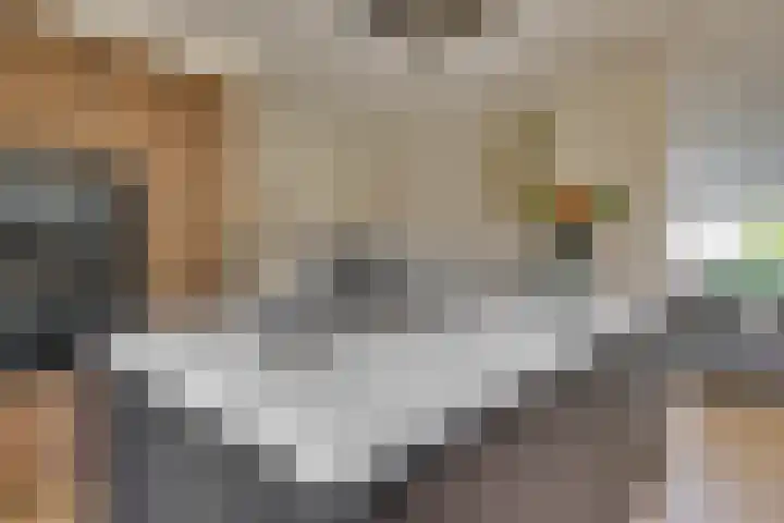 Pieter de Hooghlaan 35 Oud-Beijerland thumbnail 22