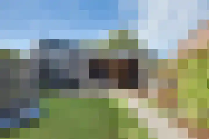 Pieter de Hooghlaan 35 Oud-Beijerland thumbnail 33