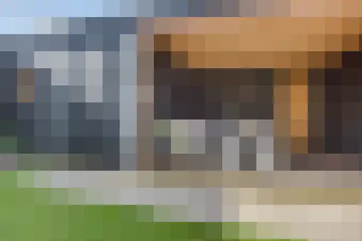 Pieter de Hooghlaan 35 Oud-Beijerland thumbnail 34