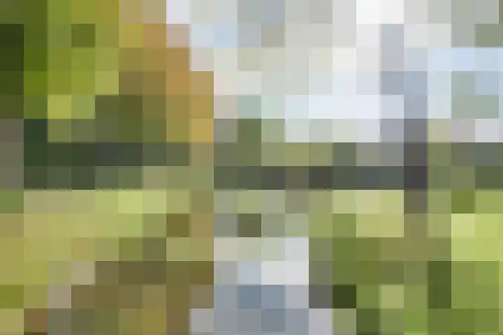 Pieter de Hooghlaan 35 Oud-Beijerland thumbnail 6