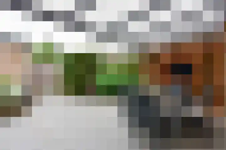 Pieter de Hooghlaan 39 b Nederhorst den Berg thumbnail 13