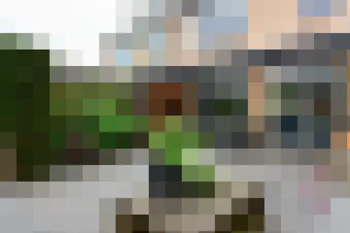 Pieter de Hooghlaan 39 b Nederhorst den Berg thumbnail 14