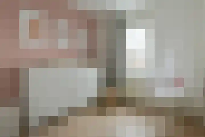 Pieter de Hooghlaan 39 b Nederhorst den Berg thumbnail 19