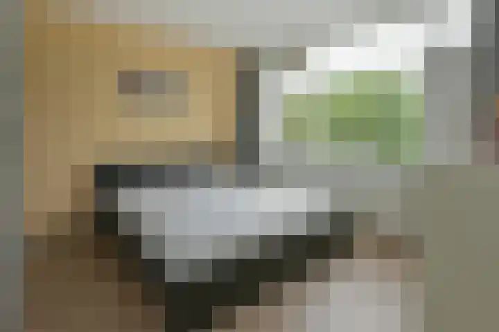 Pieter de Hooghlaan 39 b Nederhorst den Berg thumbnail 21