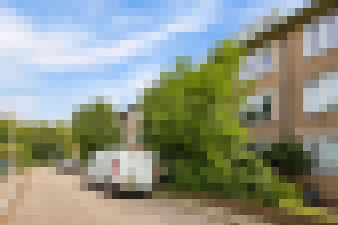 Pieter de Hooghlaan 42 Baarn thumbnail 6