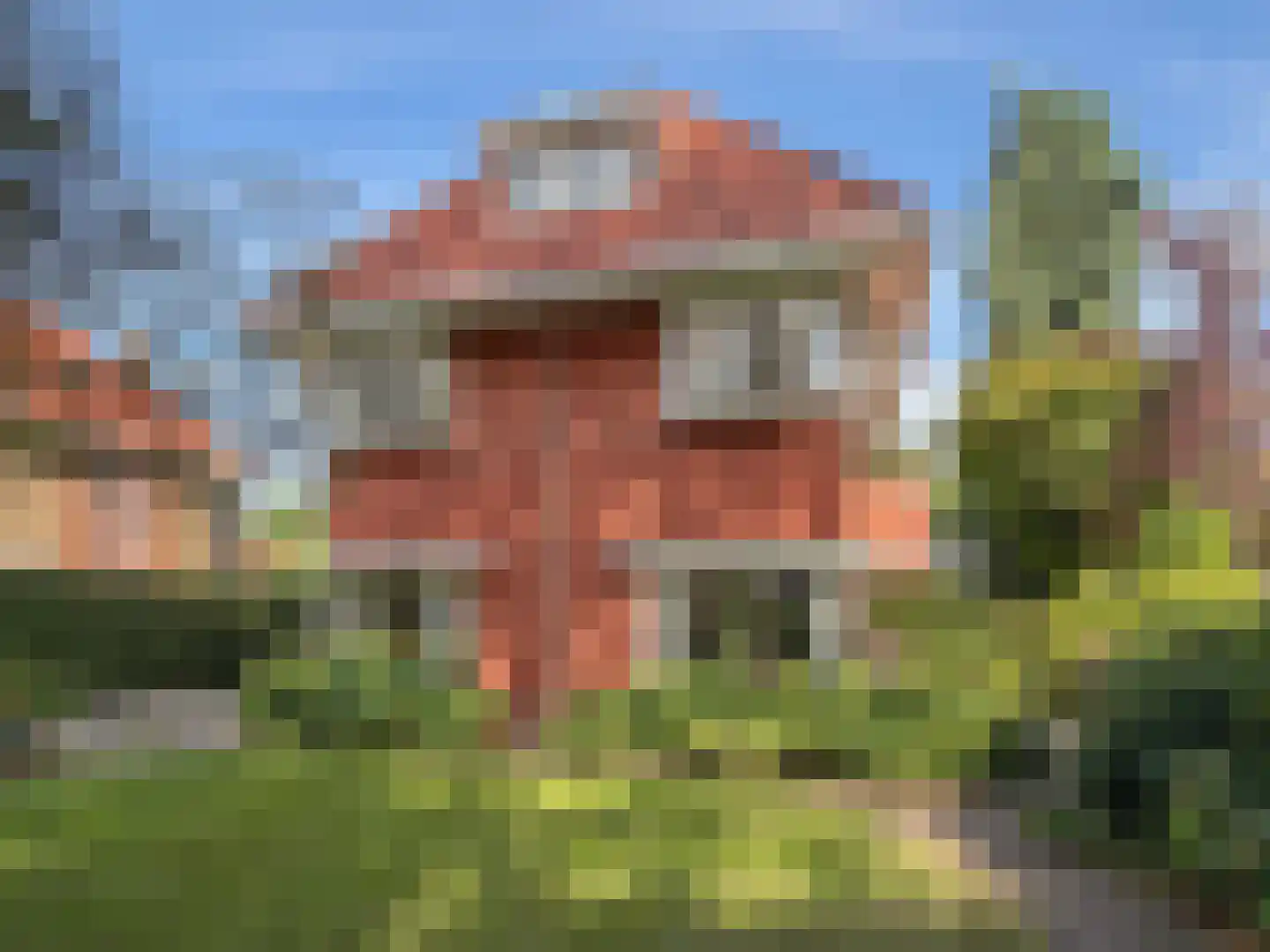 Pieter de Hooghlaan 53 Hilversum thumbnail 4