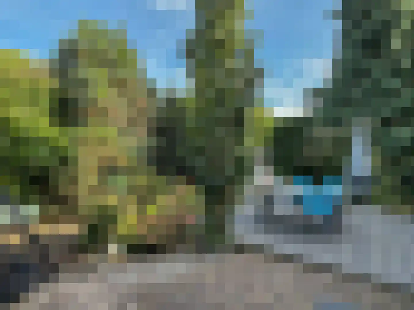Pieter de Hooghlaan 53 Hilversum thumbnail 7
