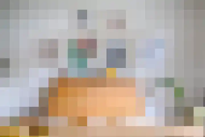 Pieter de Hooghlaan 54 Hilversum thumbnail 12