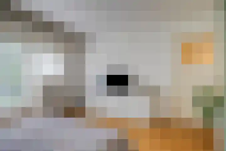 Pieter de Hooghlaan 54 Hilversum thumbnail 15