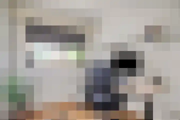 Pieter de Hooghlaan 54 Hilversum thumbnail 17