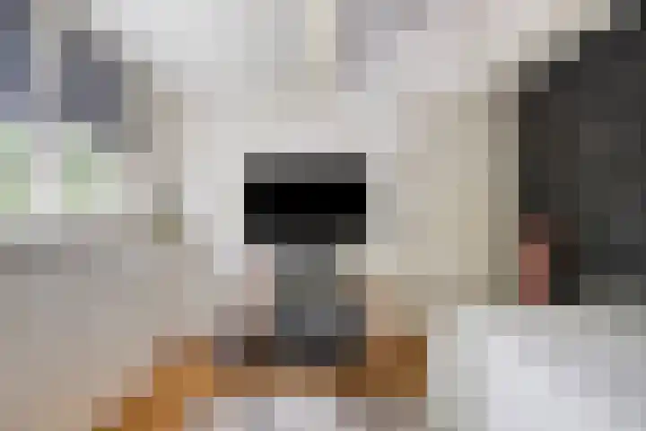 Pieter de Hooghlaan 54 Hilversum thumbnail 27