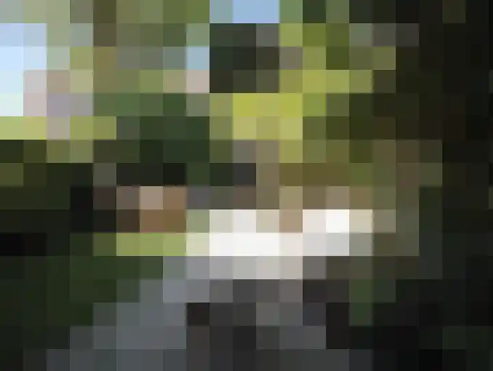 Pieter de Hooghlaan 54 Hilversum thumbnail 29