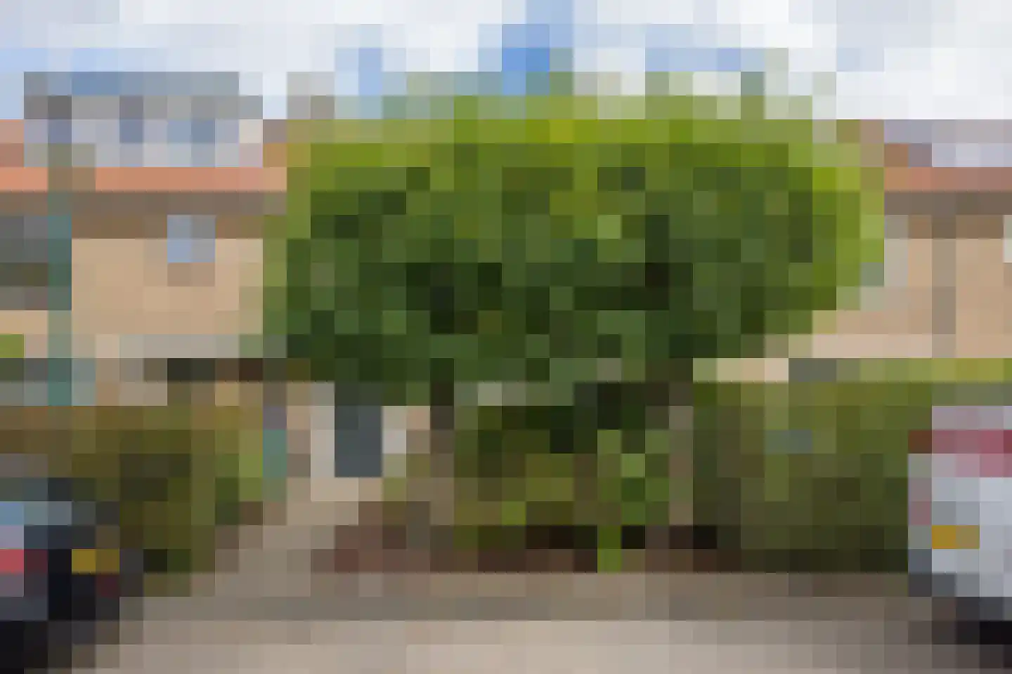 Pieter de Hooghlaan 7 Loosdrecht thumbnail 32
