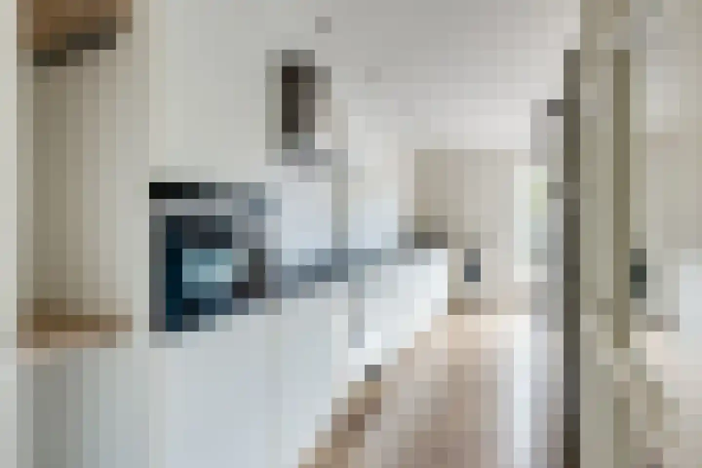 Pieter de Hooghlaan 7 Loosdrecht thumbnail 9