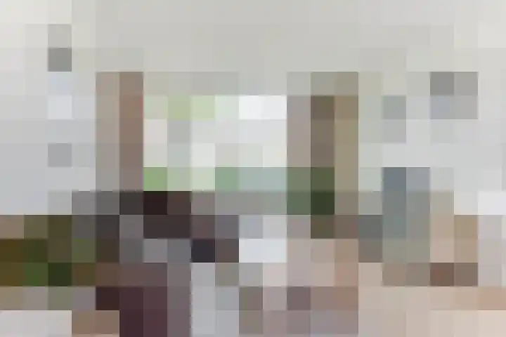 Pieter de Hooghstraat 10 Akersloot thumbnail 12