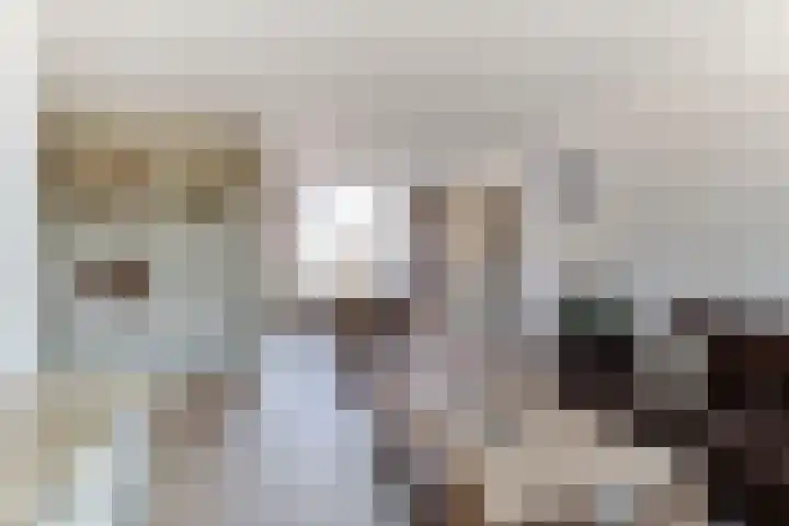 Pieter de Hooghstraat 10 Akersloot thumbnail 13