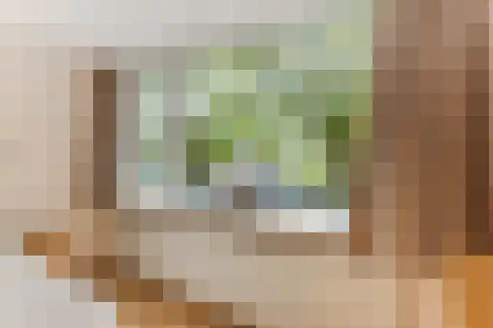 Pieter de Hooghstraat 10 Akersloot thumbnail 26