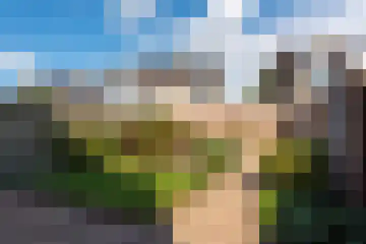 Pieter de Hooghstraat 10 Akersloot thumbnail 40