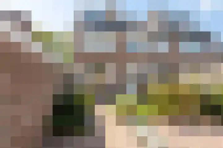 Pieter de Hooghstraat 10 Akersloot thumbnail 42