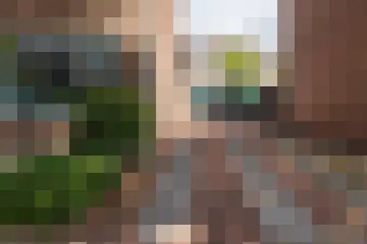 Pieter de Hooghstraat 10 Akersloot thumbnail 44