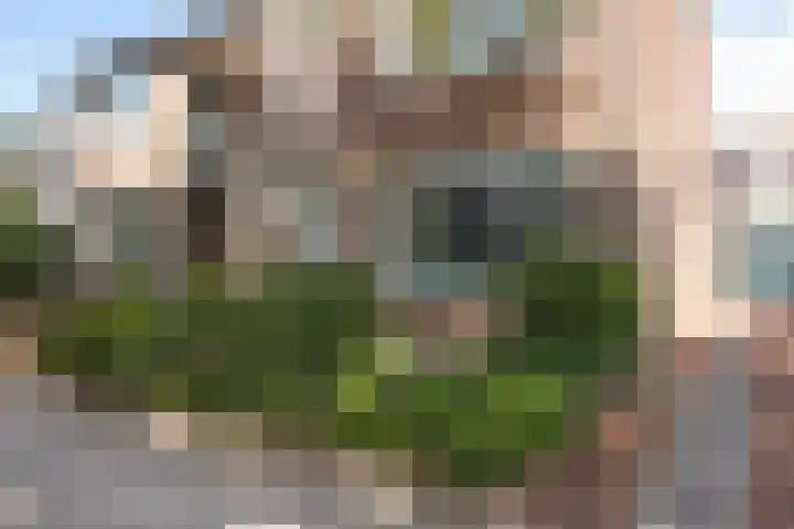 Pieter de Hooghstraat 10 Akersloot thumbnail 46