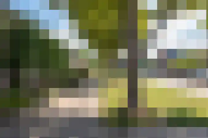 Pieter de Hooghstraat 10 Akersloot thumbnail 47