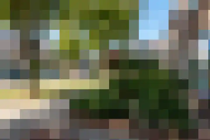 Pieter de Hooghstraat 10 Akersloot thumbnail 48