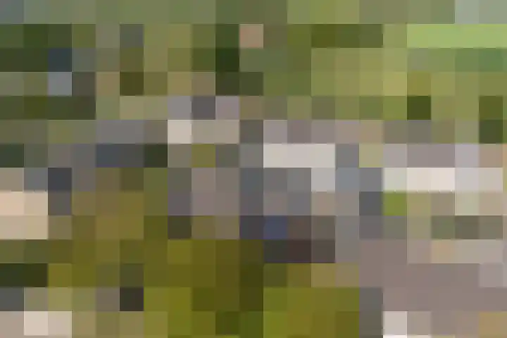Pieter de Hooghstraat 10 Akersloot thumbnail 50