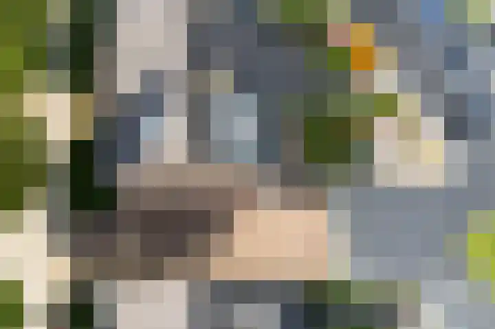 Pieter de Hooghstraat 10 Akersloot thumbnail 52