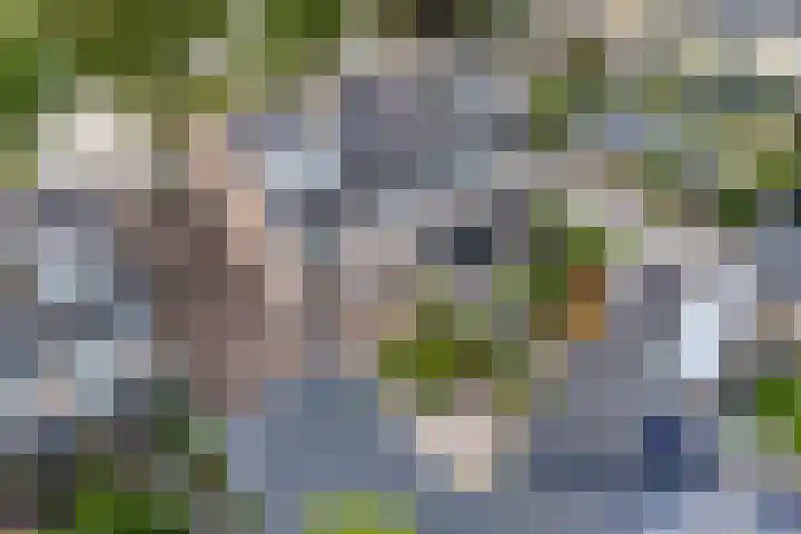 Pieter de Hooghstraat 10 Akersloot thumbnail 6