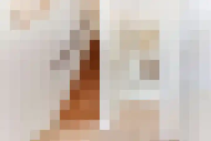 Pieter de Hooghstraat 10 Akersloot thumbnail 7