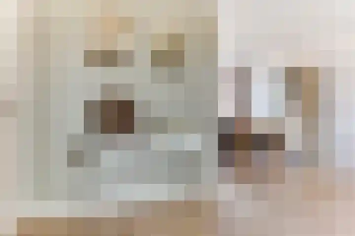 Pieter de Hooghstraat 10 Akersloot thumbnail 8